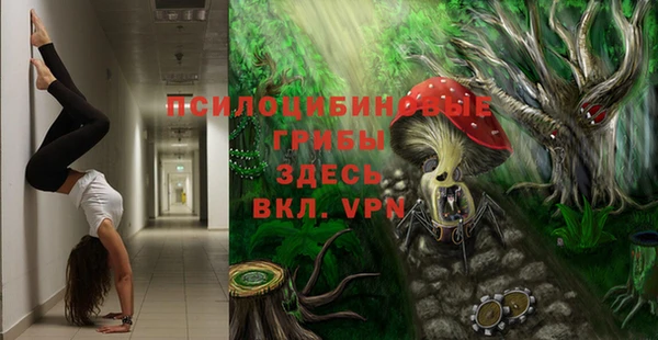 мяу мяу мука Заводоуковск